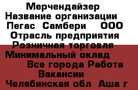 Мерчендайзер › Название организации ­ "Пегас" Самбери-3, ООО › Отрасль предприятия ­ Розничная торговля › Минимальный оклад ­ 23 500 - Все города Работа » Вакансии   . Челябинская обл.,Аша г.